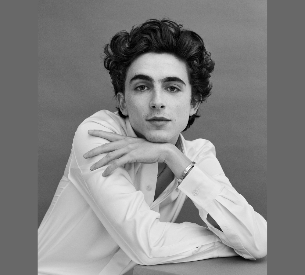 Nam tài tử Timothée Chalamet