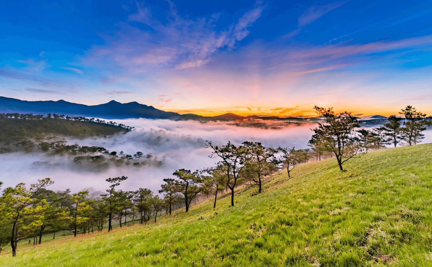 Thành phố Đà Lạt